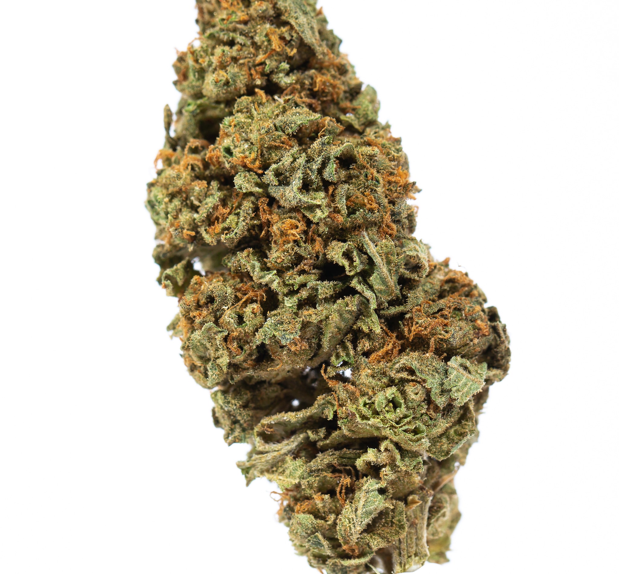 Kush Berry (AA) Project Canna