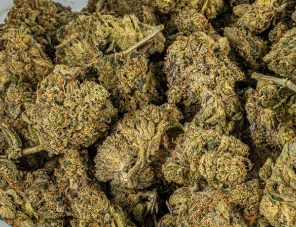 Black Afghani (AAA) - Image 4