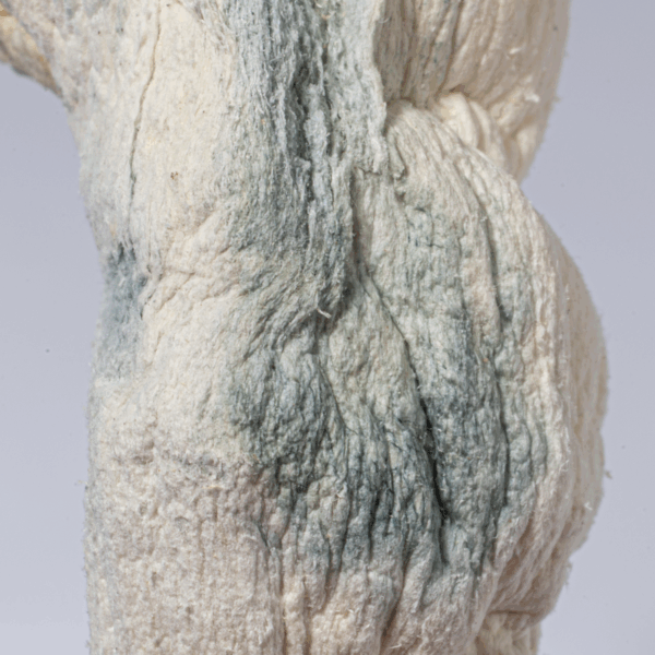 Blue Meanies Mushrooms - Image 3