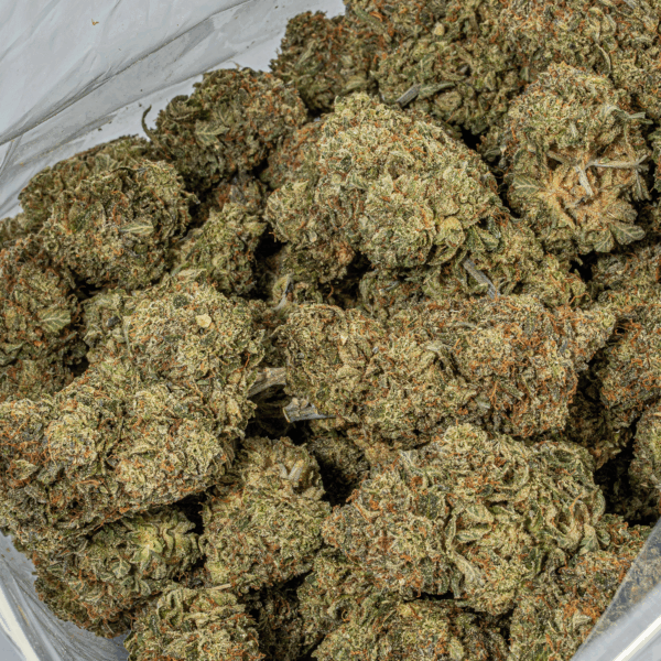 Platinum Glue (AAA+) - Image 5