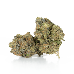 Master Bubba (AAA+)