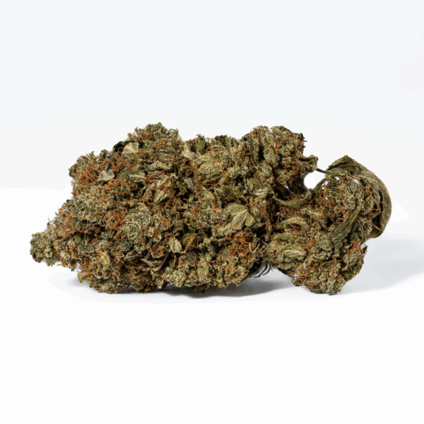 Grease Monkey (AA) - Image 3