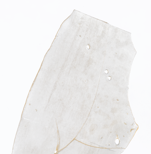 Purple Kush Shatter