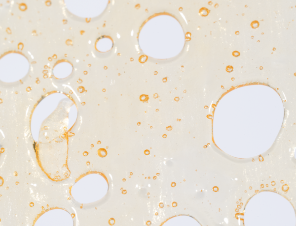Tropical Skittlez Shatter