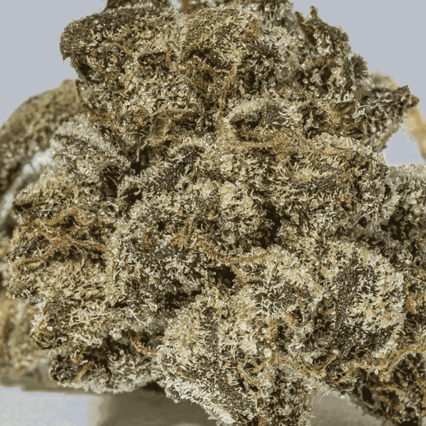 (Smalls) Greasy Pink Bubba (AAAA) - Image 5