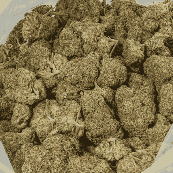 Raspberry Parfait (AA+) - Image 4