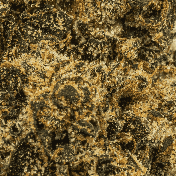 Blackout OG (AAA) - Image 5