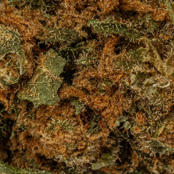 Royal Kush (A) - Image 5
