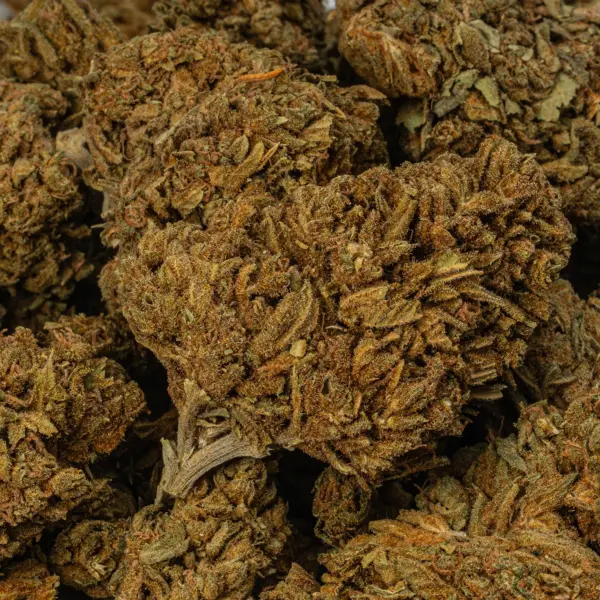Golden Haze (A) - Image 3