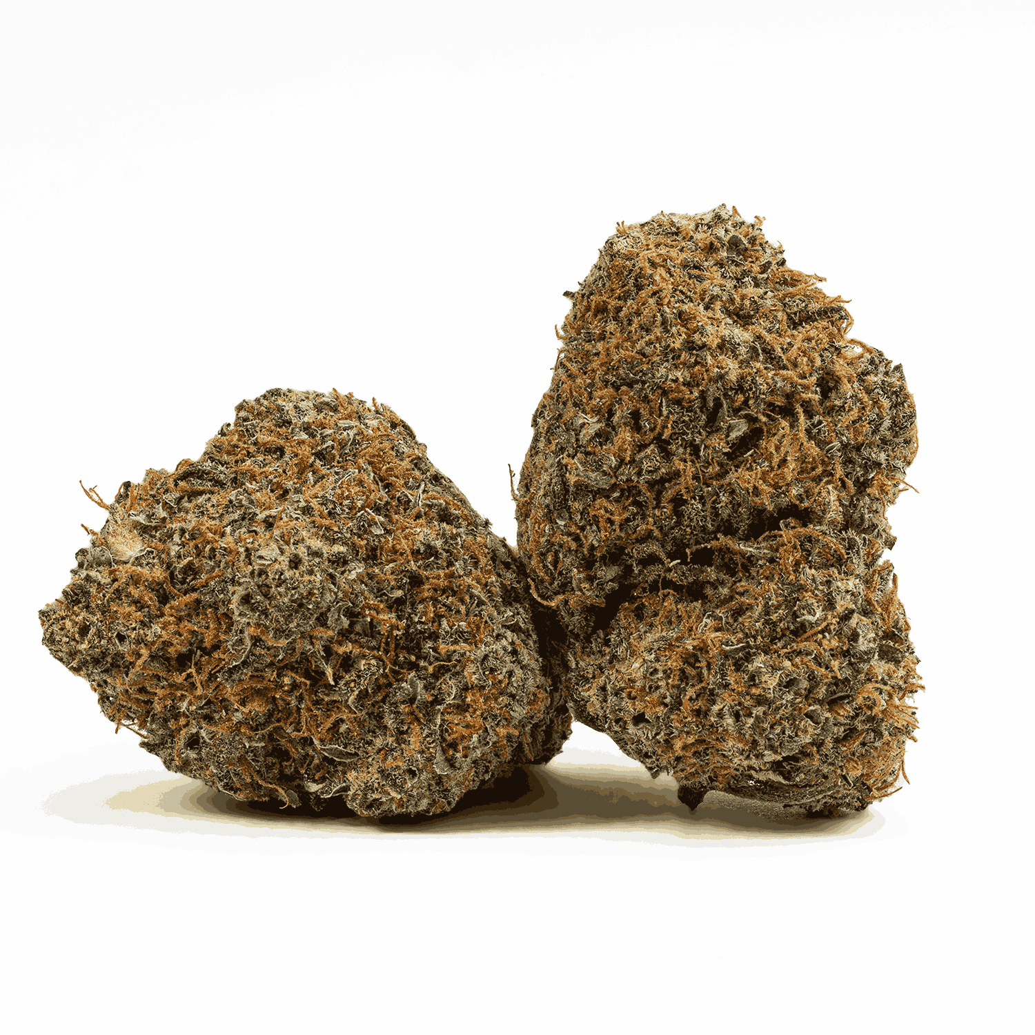 Lemonberry (AAA)