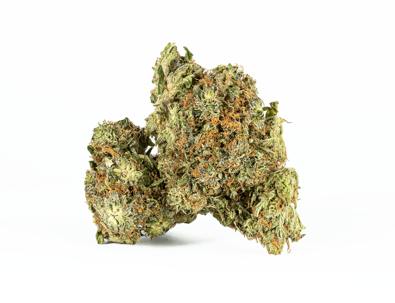 Ace Killer Og (AAA+)