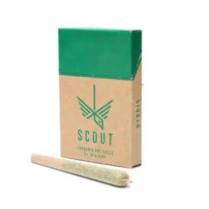 Scout - 5 Pack Pre-Rolls (0.5g) - Hybrid
