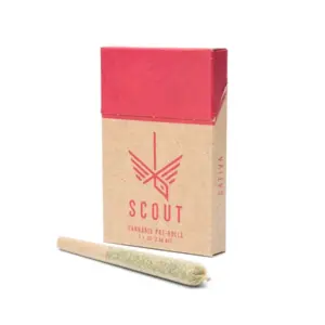 Scout - 5 Pack Pre-Rolls (0.5g) - Sativa