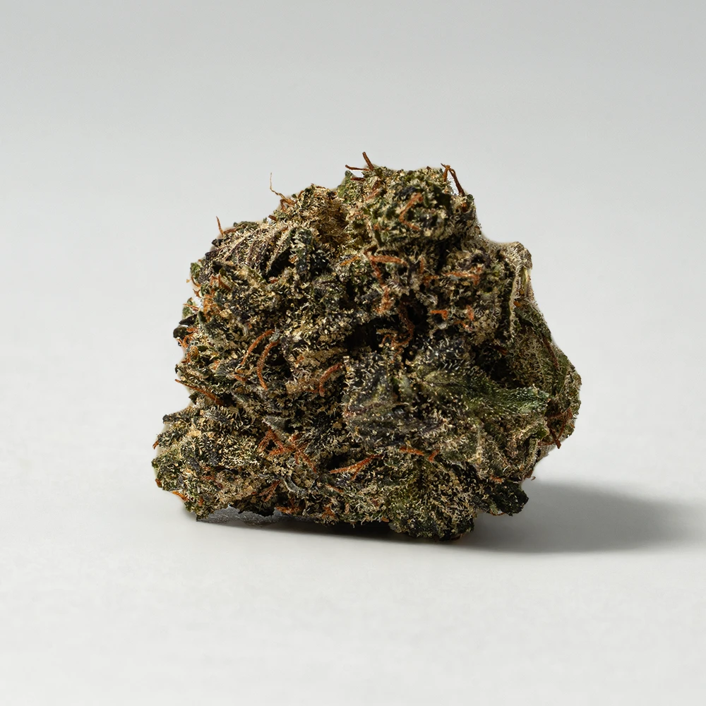 Grizzly Pink Smalls (AAAA) - Image 3
