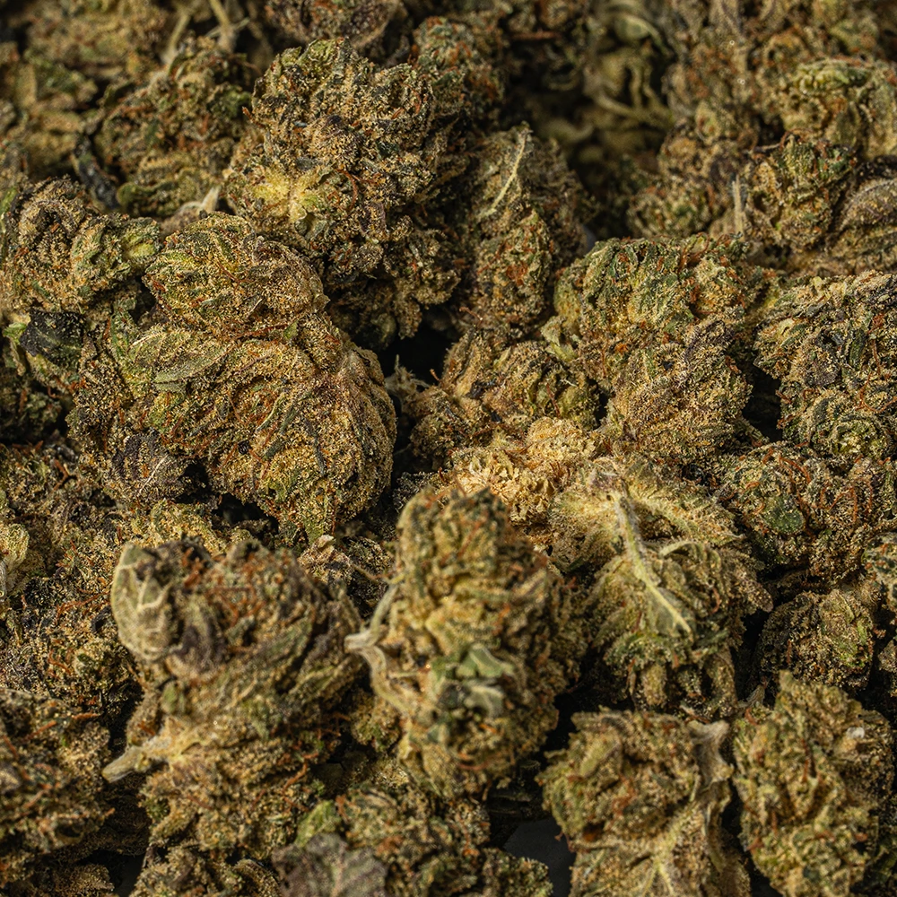 Grizzly Pink Smalls (AAAA) - Image 5