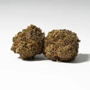 Sweet Tooth (AA)