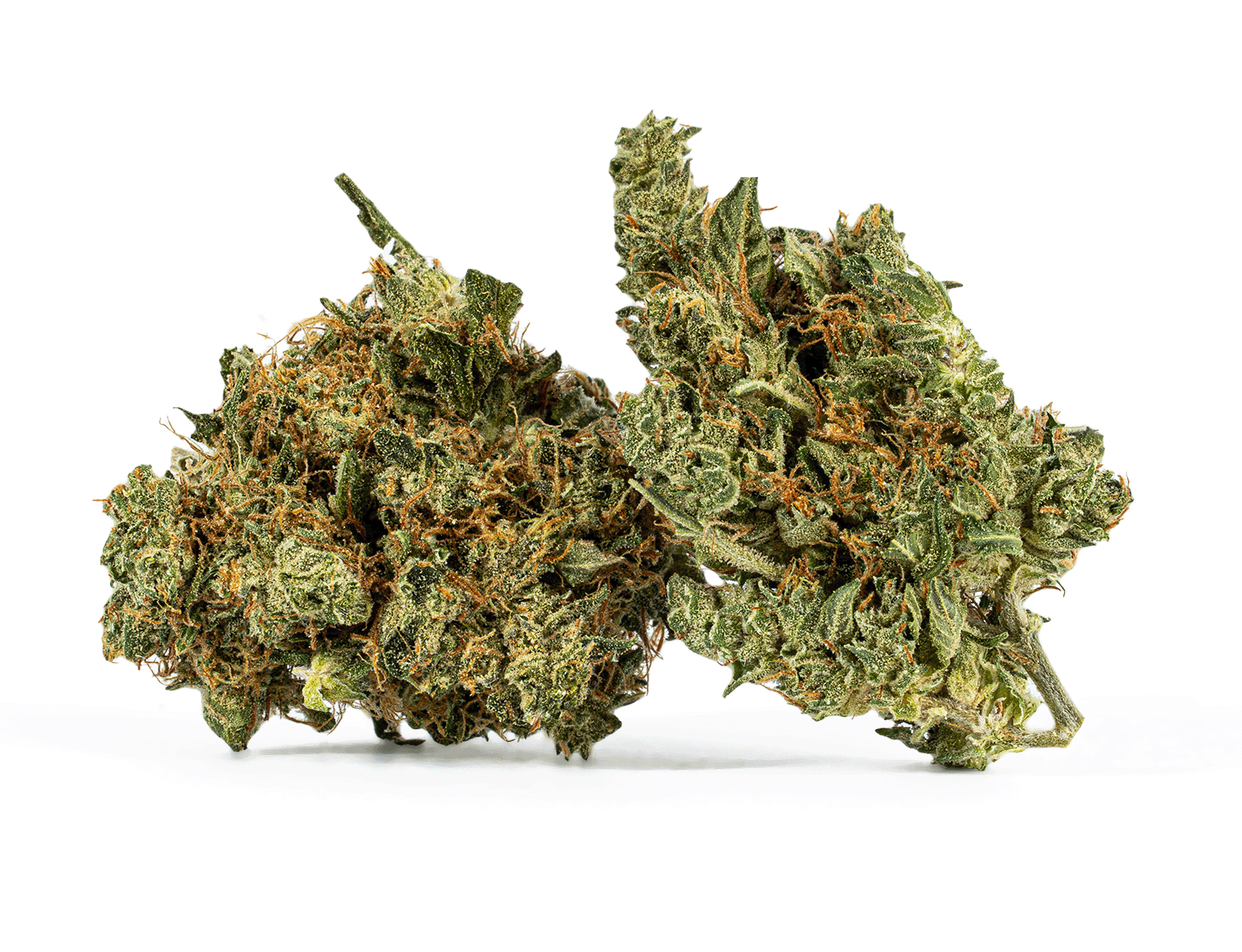 Cali Bubba (AA)