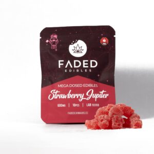 Faded Mega Dosed Astros - Strawberry Jupiter (600mg)
