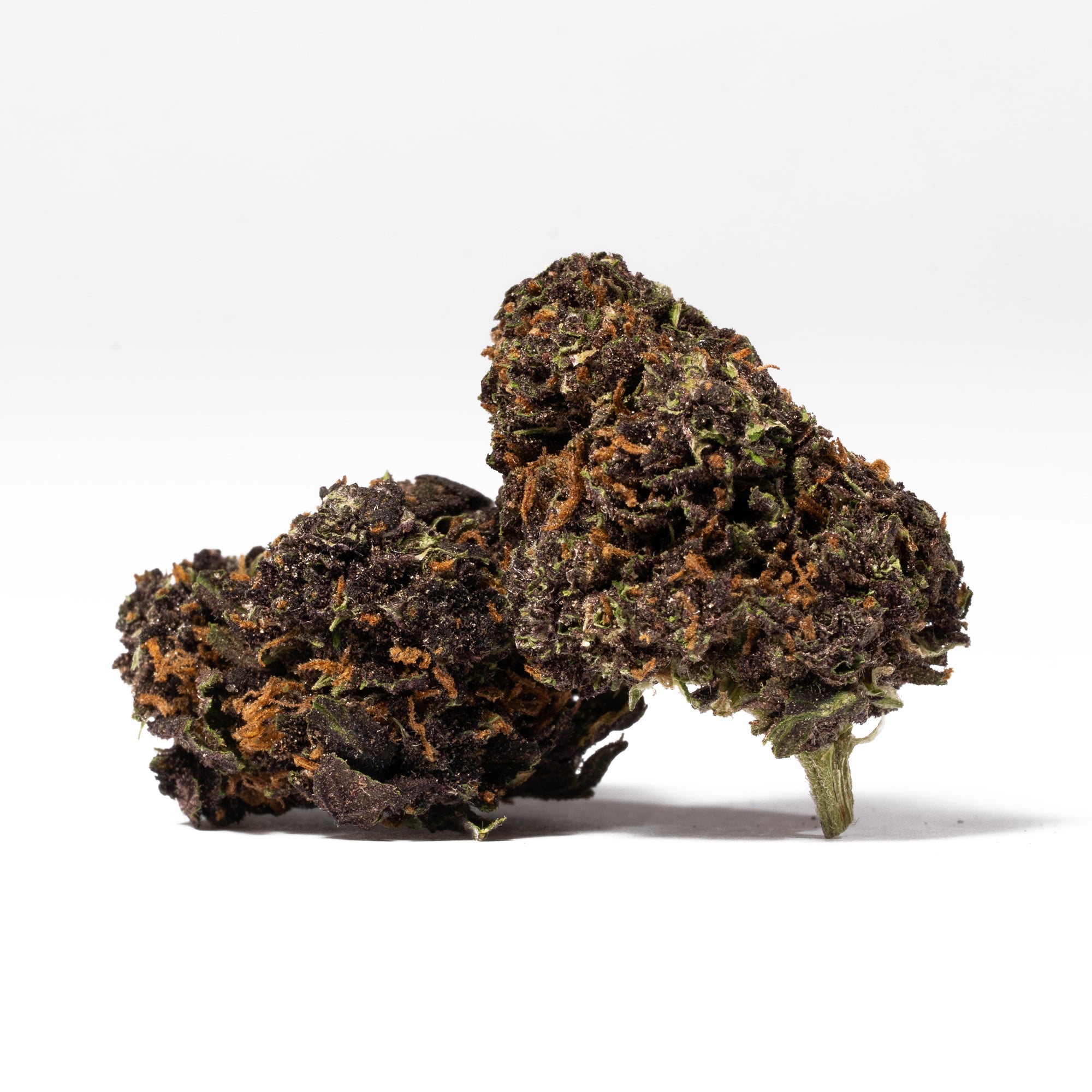 Purple Kush (AA) Promo