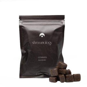 Shroomology Mid-Dose Gummies - Blackberry