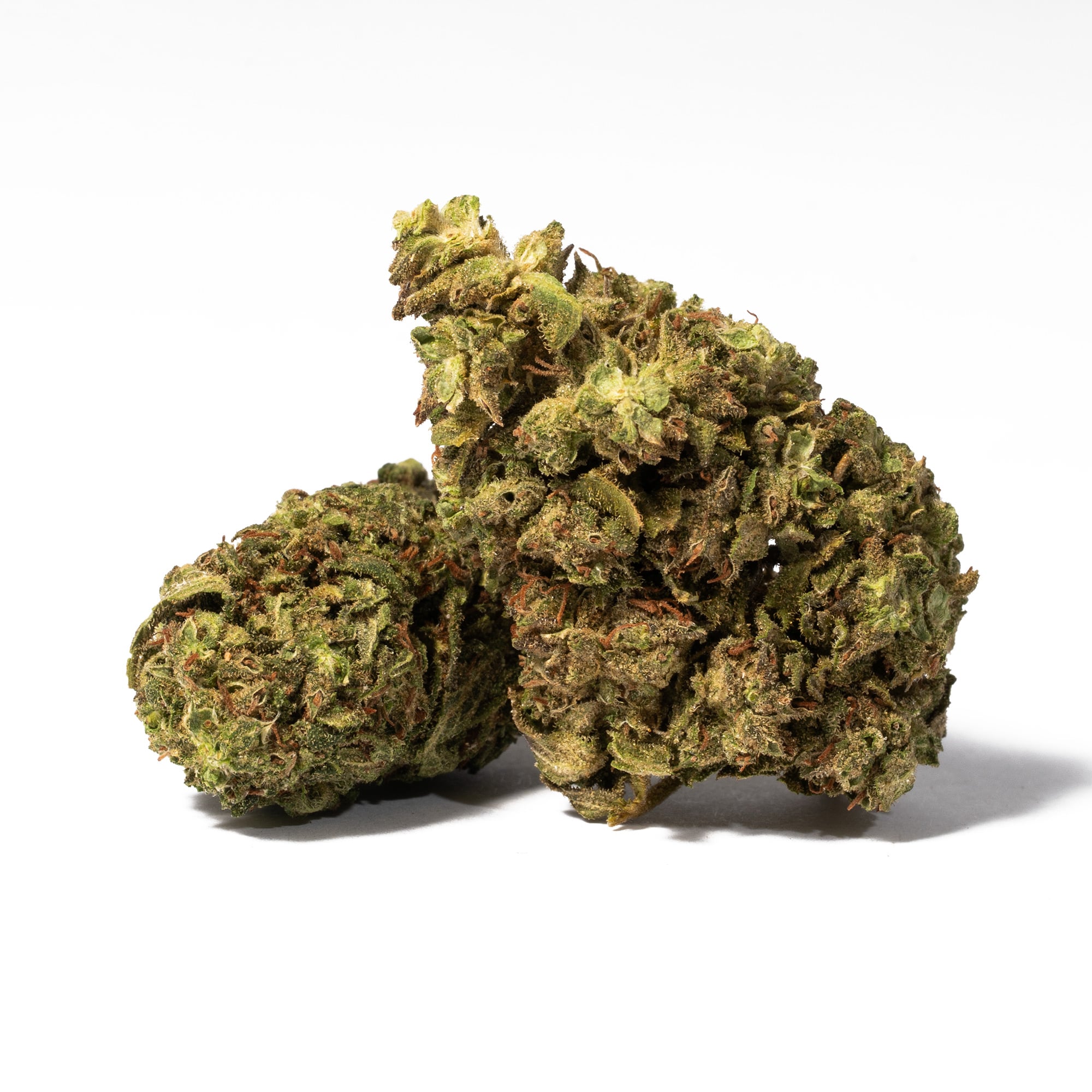 Bruce Banner (AA)