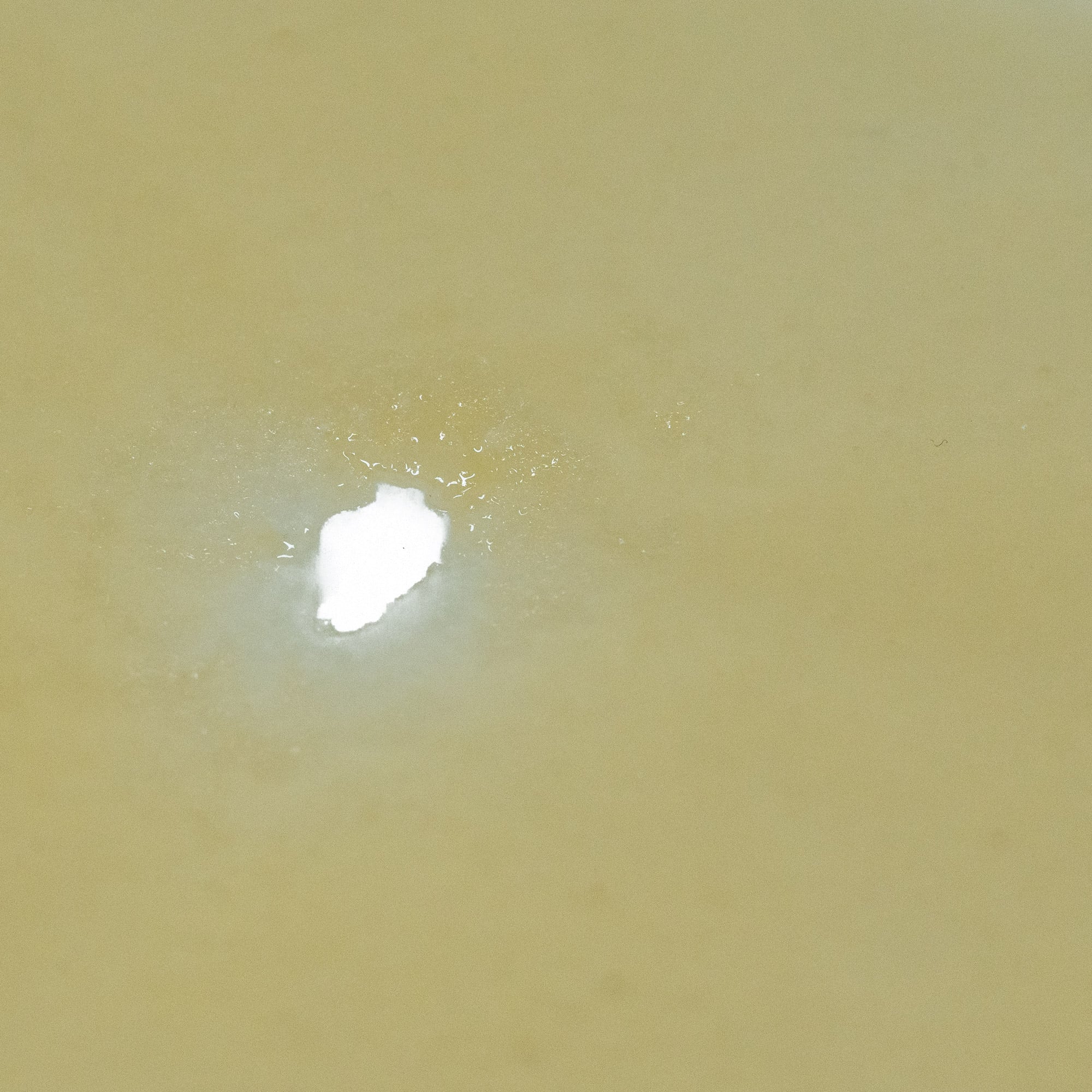 House Shatter - Banana Punch (Hybrid) - Image 2