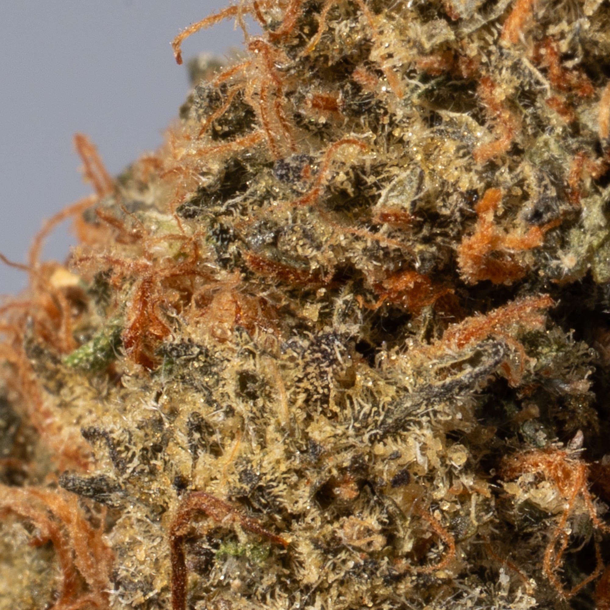 Green Crack (AA) - Image 4