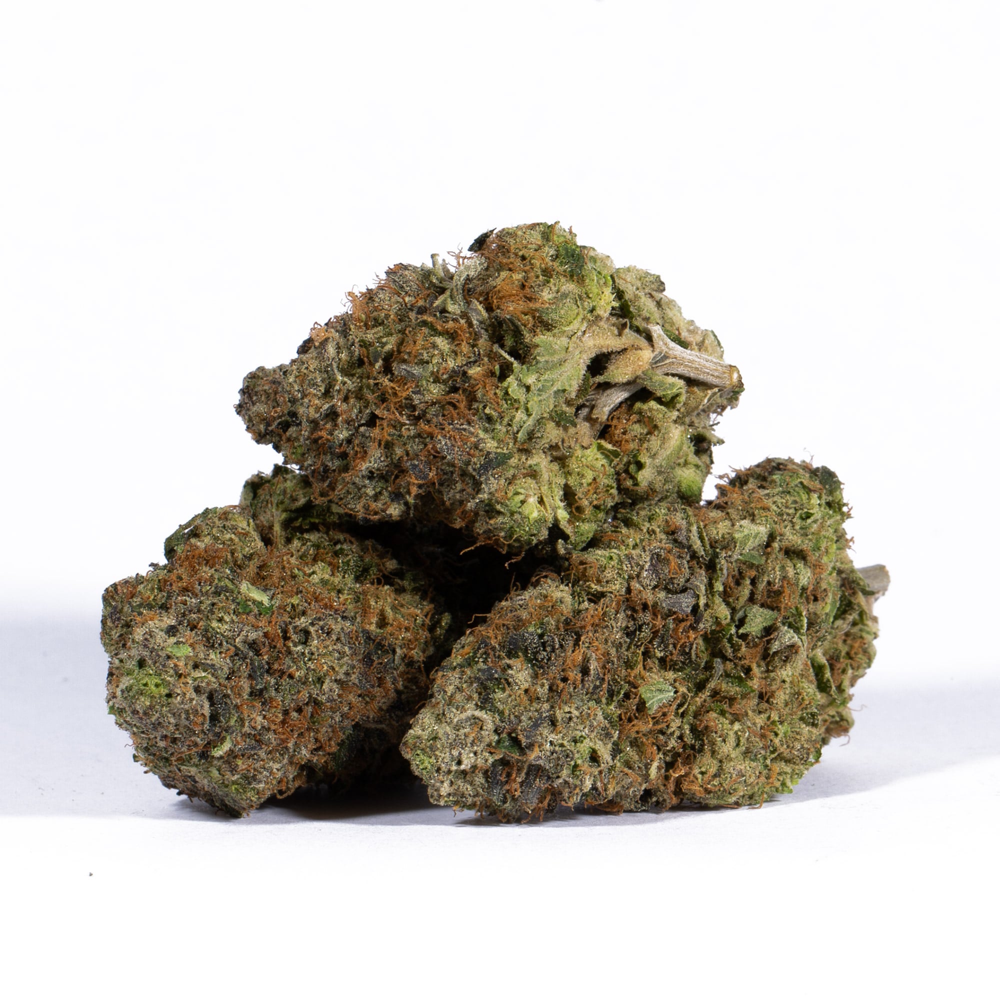 Acapulco Gold (AAAA) Promo - Image 3