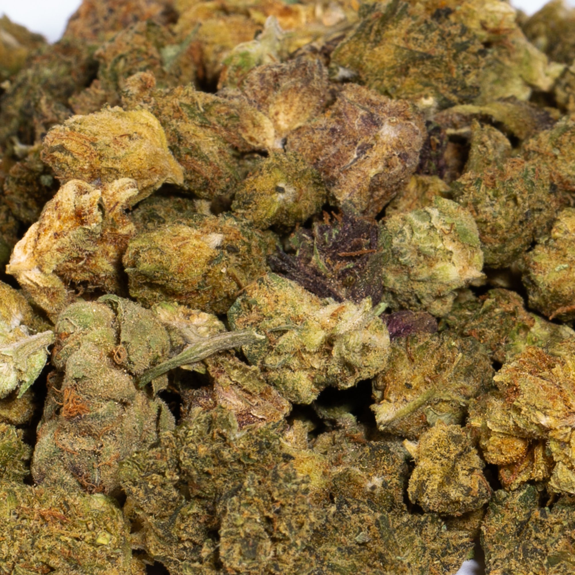 Animal Crackers Smalls (A) Promo - Image 2