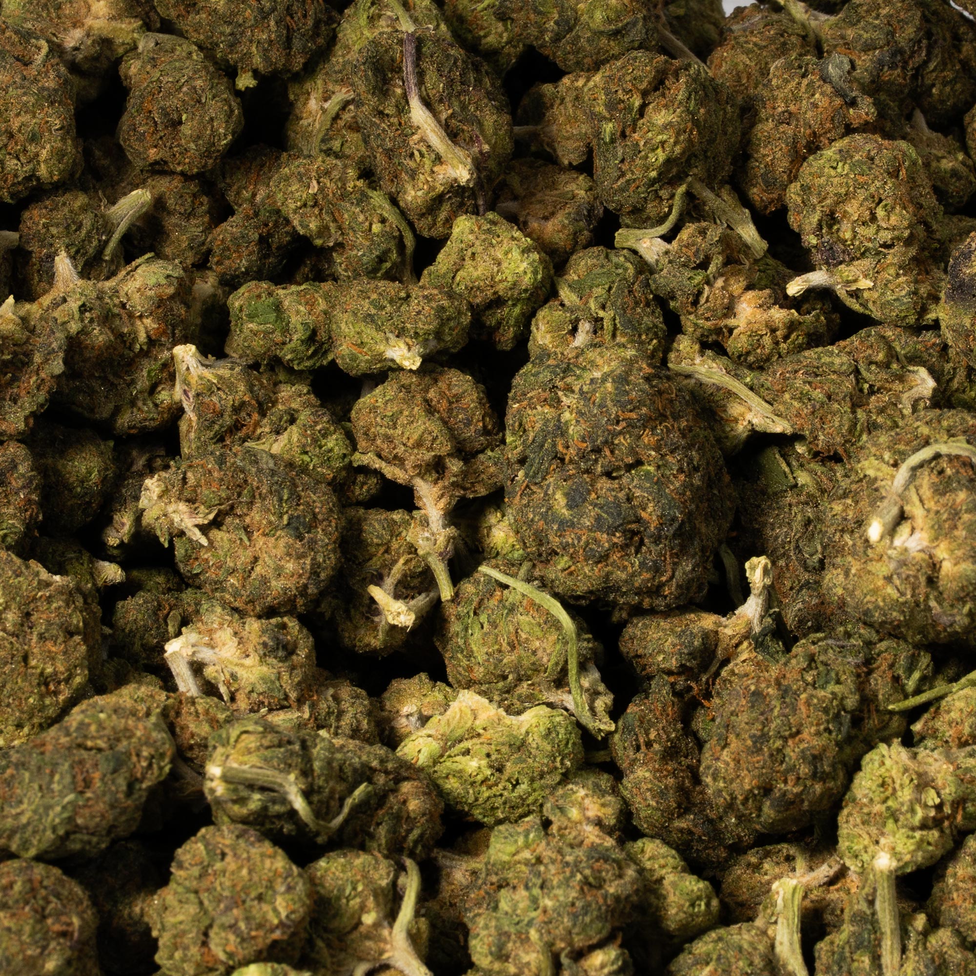 Strawberry AA (Promo) - Image 5