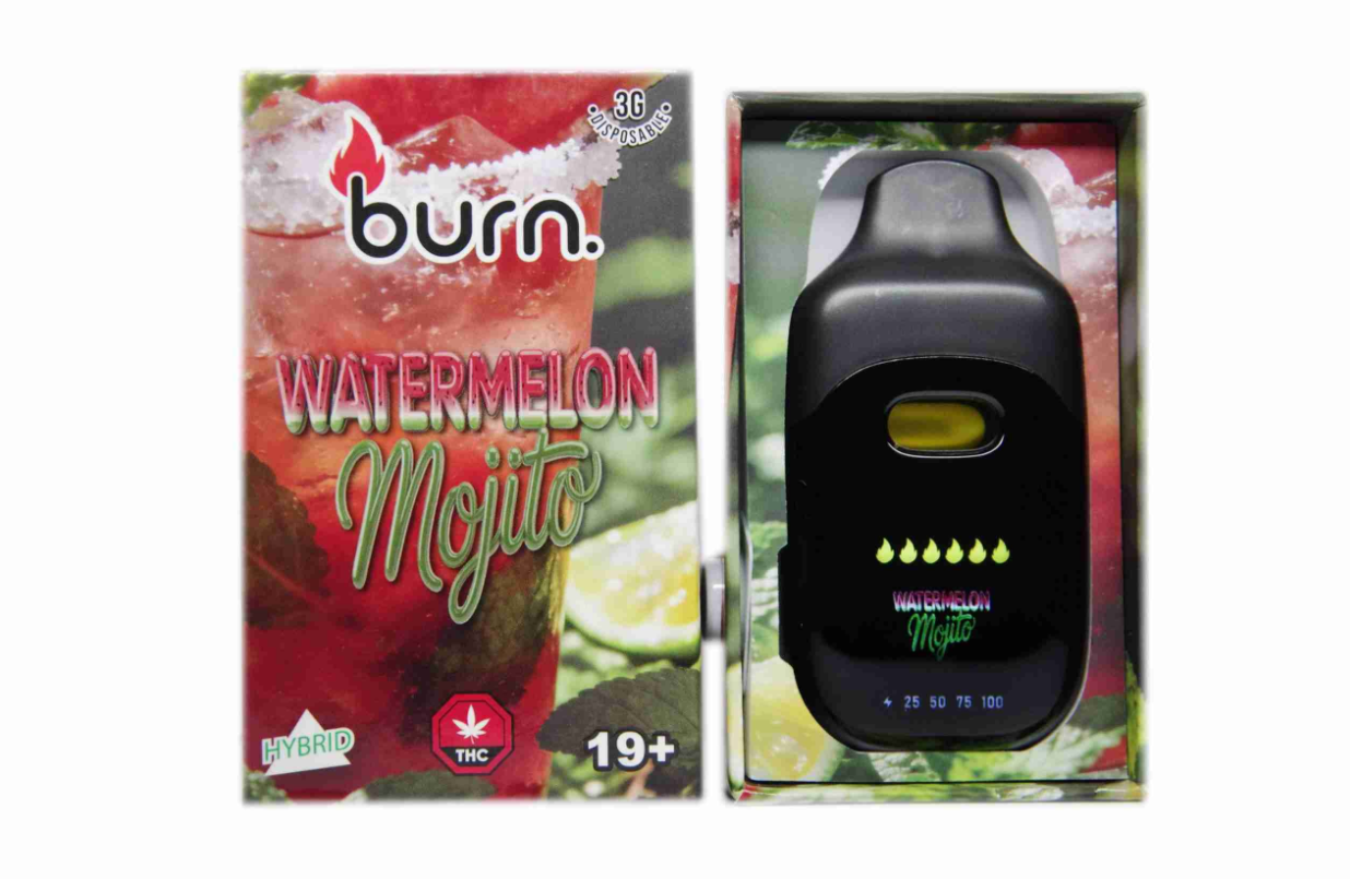 Burn LCD Disposable Vape (3g) - Watermelon Mojito (Hybrid)