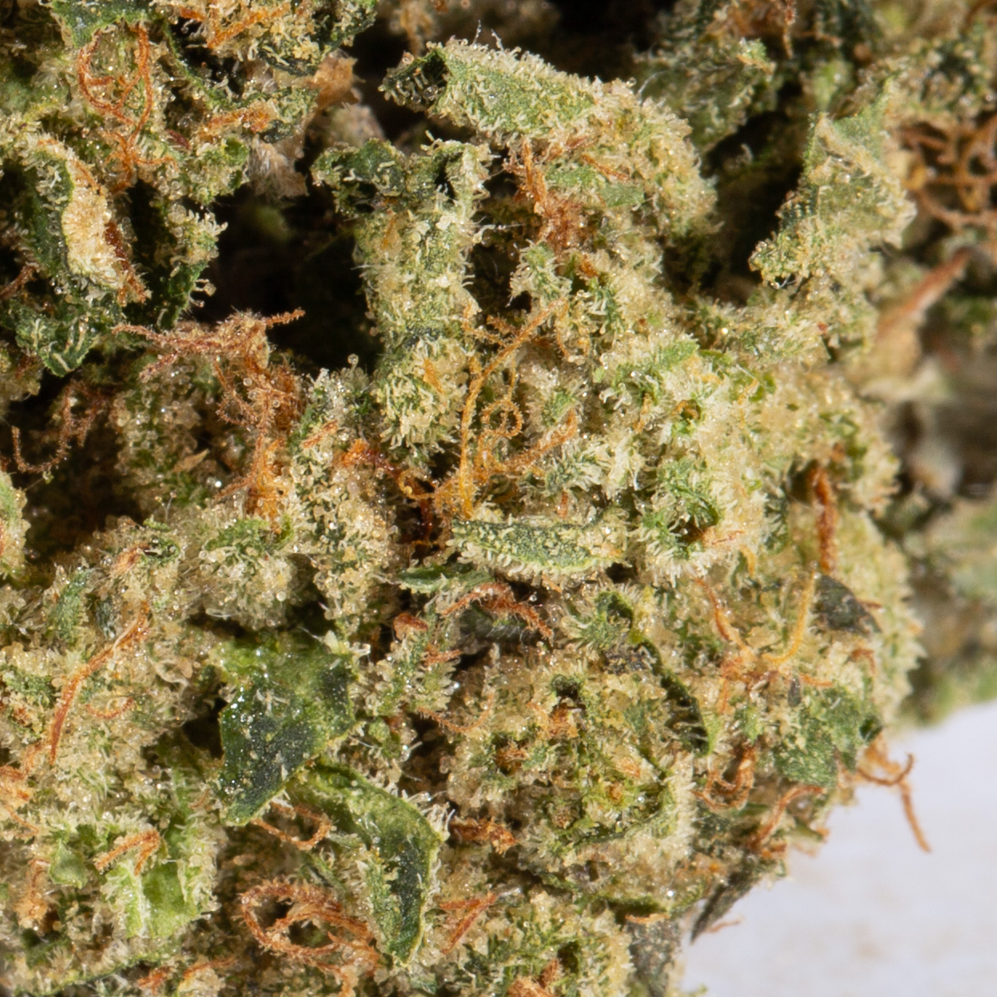 GMO Cookies (AAA) - Image 5