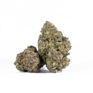 Papaya (AAAA+)