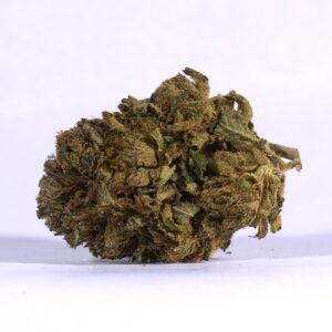 Tropical Breeze (AA)