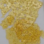 Gold Seal Shatter 1g - Mimosa Champagne - Image 2